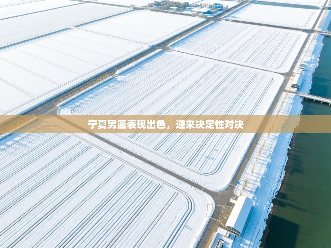 乐动体育平台-宁夏男篮表现出色,迎来决定性对决 第4张