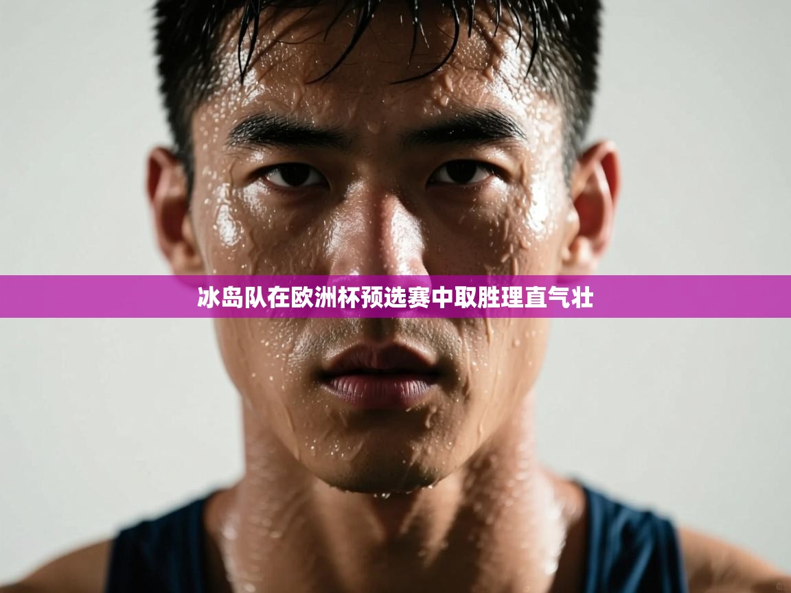 乐动体育app优惠券-冰岛队在欧洲杯预选赛中取胜理直气壮  第2张