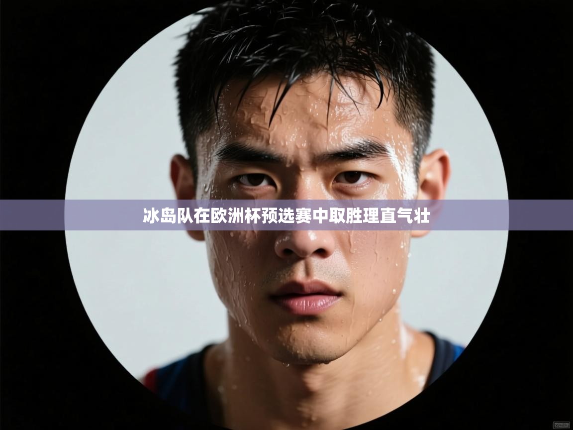 乐动体育app优惠券-冰岛队在欧洲杯预选赛中取胜理直气壮  第1张