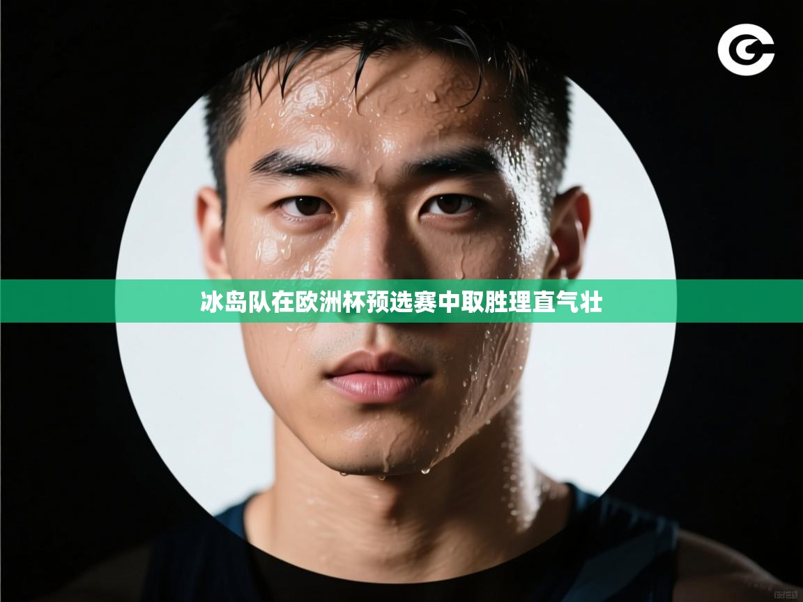 乐动体育app优惠券-冰岛队在欧洲杯预选赛中取胜理直气壮  第4张