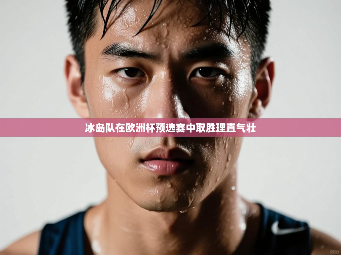 乐动体育app优惠券-冰岛队在欧洲杯预选赛中取胜理直气壮  第3张